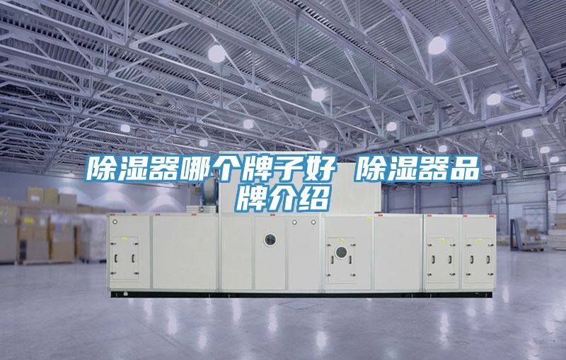 除濕器哪個牌子好 除濕器品牌介紹