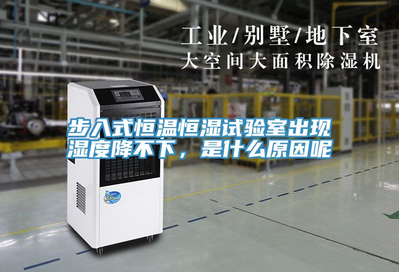 步入式恒溫恒濕試驗室出現(xiàn)濕度降不下,是什么原因呢