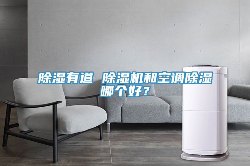 除濕有道 除濕機和空調除濕哪個好？