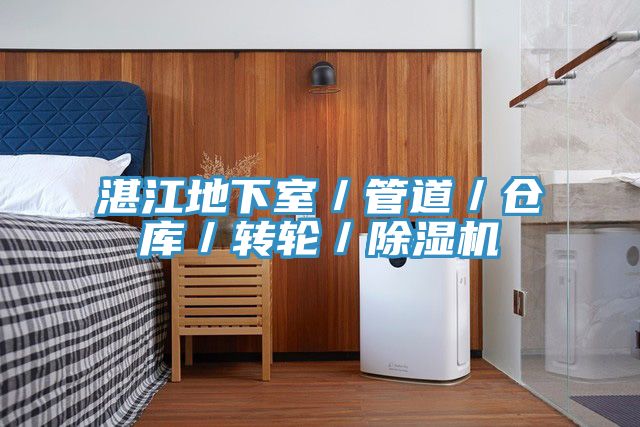 湛江地下室/管道/倉(cāng)庫(kù)/轉(zhuǎn)輪/除濕機(jī)