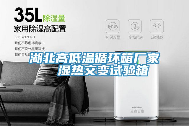 湖北高低溫循環箱廠家 濕熱交變試驗箱