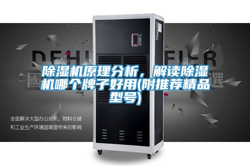 除濕機原理分析,解讀除濕機哪個牌子好用(附推薦精品型號)