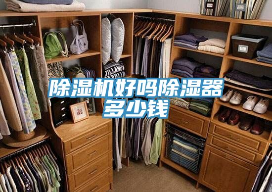 除濕機(jī)好嗎除濕器多少錢