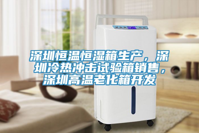 深圳恒溫恒濕箱生產,深圳冷熱沖擊試驗箱銷售,深圳高溫老化箱開發