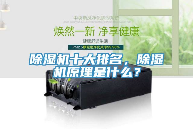 除濕機十大排名，除濕機原理是什么？