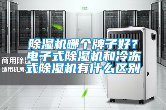 除濕機哪個牌子好？電子式除濕機和冷凍式除濕機有什么區別