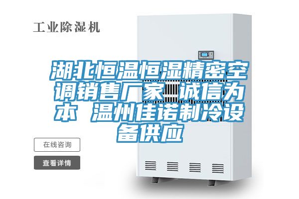 湖北恒溫恒濕精密空調(diào)銷售廠家 誠信為本 溫州佳諾制冷設(shè)備供應(yīng)