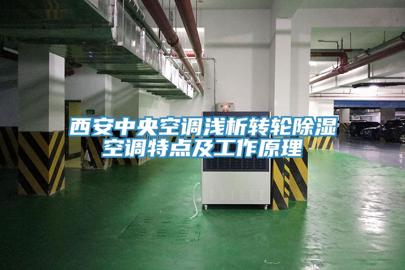 西安中央空調淺析轉輪除濕空調特點及工作原理