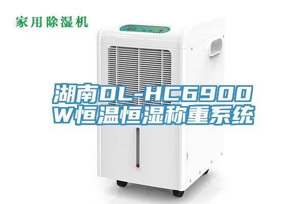 湖南DL-HC6900W恒溫恒濕稱重系統