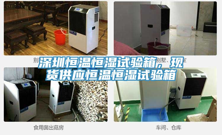 深圳恒溫恒濕試驗箱,現(xiàn)貨供應(yīng)恒溫恒濕試驗箱
