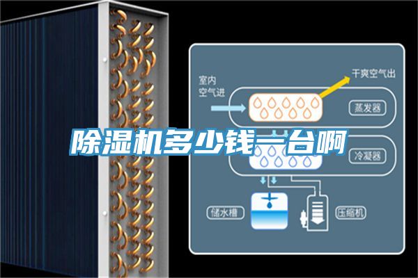 除濕機(jī)多少錢一臺啊
