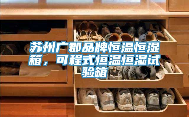 蘇州廣郡品牌恒溫恒濕箱，可程式恒溫恒濕試驗箱