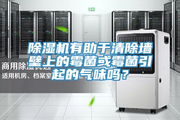 除濕機(jī)有助于清除墻壁上的霉菌或霉菌引起的氣味嗎？