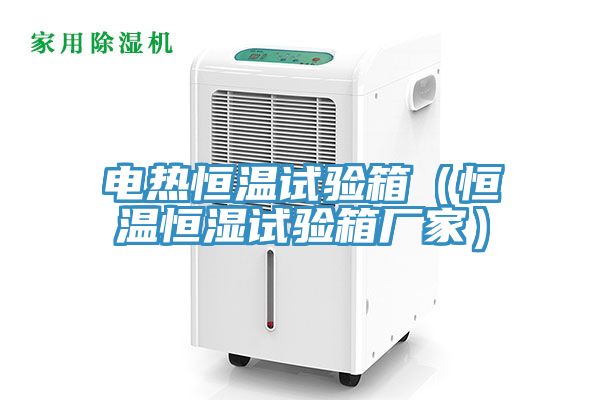 電熱恒溫試驗箱(恒溫恒濕試驗箱廠家)