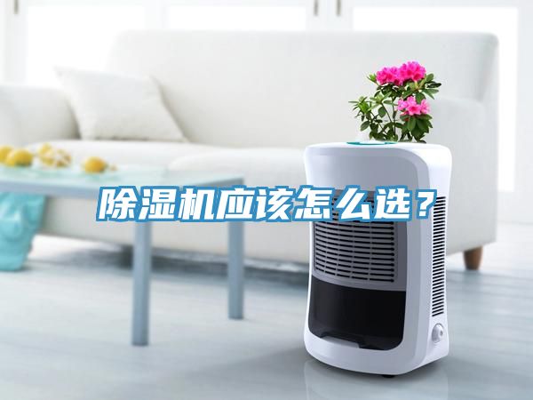 除濕機應該怎么選?