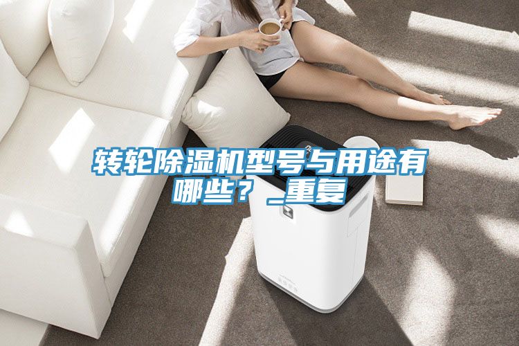 轉輪除濕機型號與用途有哪些？_重復