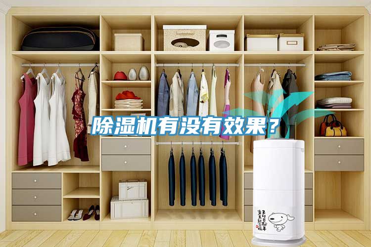 除濕機有沒有效果？