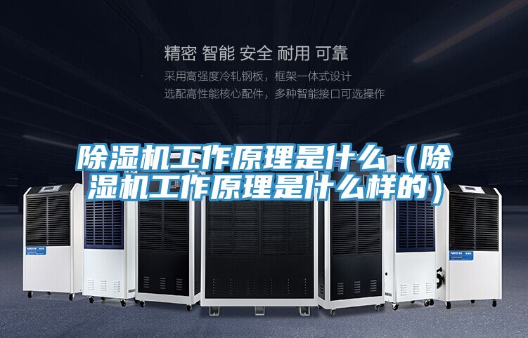 除濕機工作原理是什么(除濕機工作原理是什么樣的)