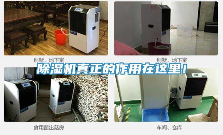 除濕機(jī)真正的作用在這里！