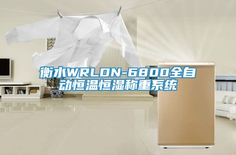 衡水WRLDN-6800全自動恒溫恒濕稱重系統