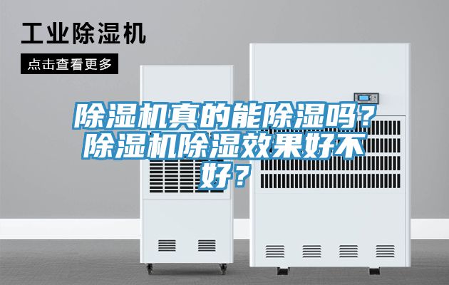 除濕機真的能除濕嗎？除濕機除濕效果好不好？