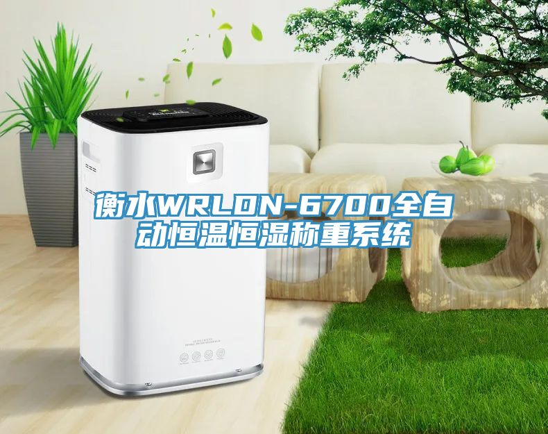 衡水WRLDN-6700全自動恒溫恒濕稱重系統
