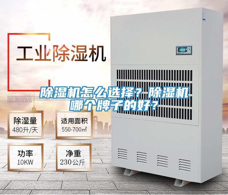 除濕機(jī)怎么選擇?除濕機(jī)哪個牌子的好?
