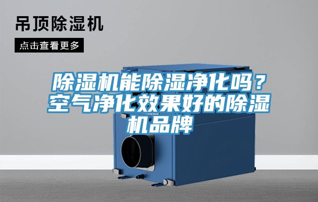 除濕機能除濕凈化嗎?空氣凈化效果好的除濕機品牌