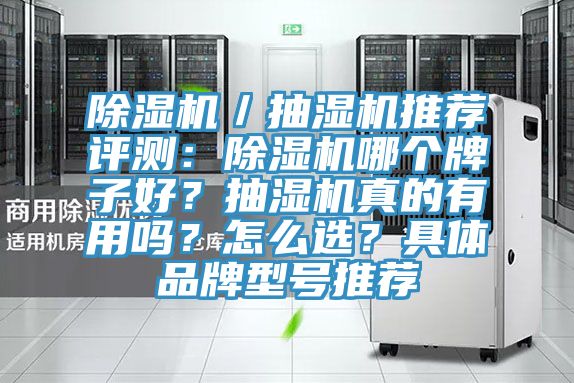 除濕機／抽濕機推薦評測：除濕機哪個牌子好？抽濕機真的有用嗎？怎么選？具體品牌型號推薦