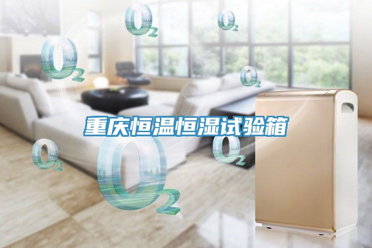 重慶恒溫恒濕試驗(yàn)箱