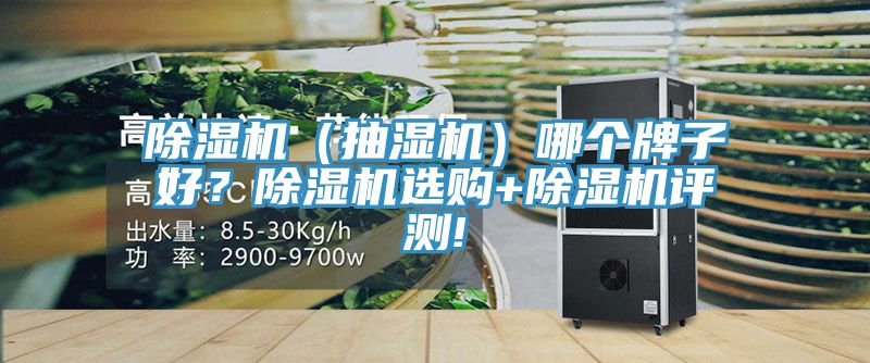 除濕機（抽濕機）哪個牌子好？除濕機選購+除濕機評測!