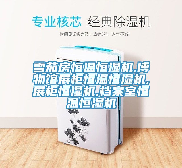 雪茄房恒溫恒濕機,博物館展柜恒溫恒濕機,展柜恒濕機,檔案室恒溫恒濕機