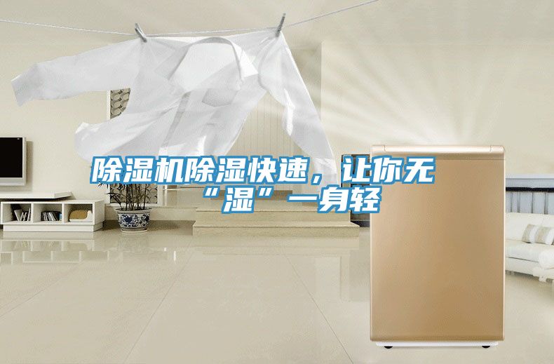 除濕機(jī)除濕快速，讓你無(wú)“濕”一身輕