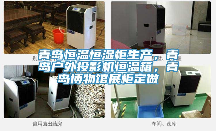 青島恒溫恒濕柜生產(chǎn)，青島戶外投影機恒溫箱，青島博物館展柜定做