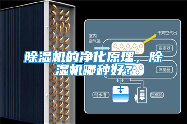 除濕機的凈化原理，除濕機哪種好？