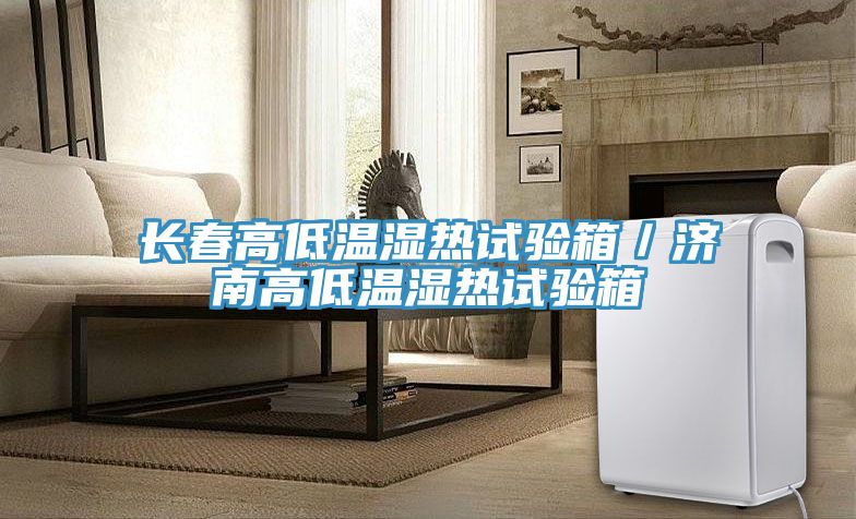 長春高低溫濕熱試驗箱／濟南高低溫濕熱試驗箱