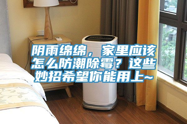 陰雨綿綿，家里應該怎么防潮除霉？這些妙招希望你能用上~