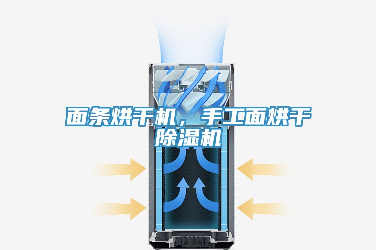 面條烘干機(jī),手工面烘干除濕機(jī)