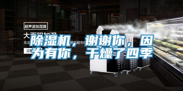除濕機，謝謝你，因為有你，干燥了四季