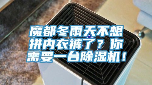 魔都冬雨天不想拼內衣褲了?你需要一臺除濕機!