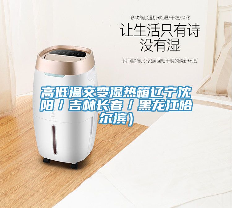 高低溫交變濕熱箱遼寧沈陽/吉林長春/黑龍江哈爾濱)