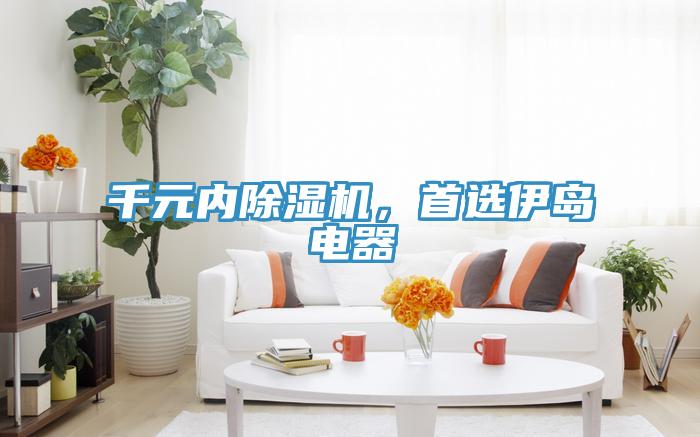 千元內除濕機，首選伊島電器