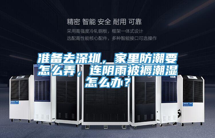 準備去深圳，家里防潮要怎么弄，連陰雨被褥潮濕怎么辦？