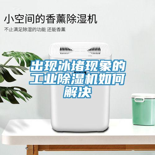 出現(xiàn)冰堵現(xiàn)象的工業(yè)除濕機如何解決