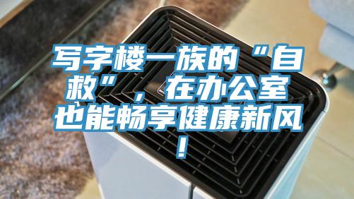 寫字樓一族的“自救”，在辦公室也能暢享健康新風！