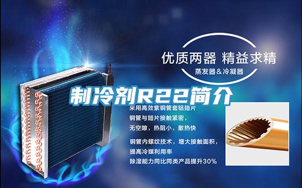 制冷劑R22簡介