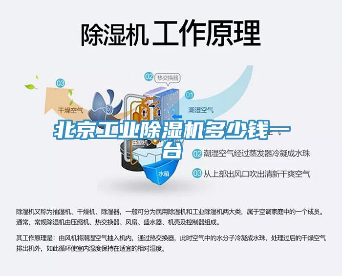 北京工業(yè)除濕機(jī)多少錢(qián)一臺(tái)